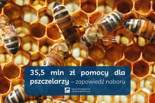 35,5 mln zł pomocy dla pszczelarzy
